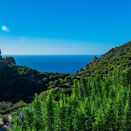Il Sole Ed Il Mare Tanca Piras *